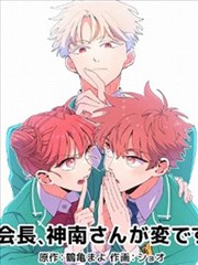 图鉴中的漫画改编封套与编号标签